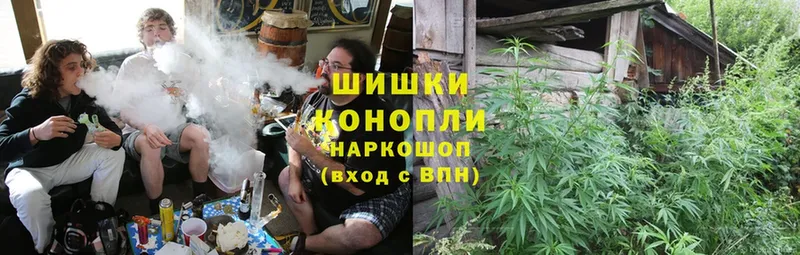 Шишки марихуана OG Kush  Подольск 